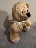 13" Teddy Bear